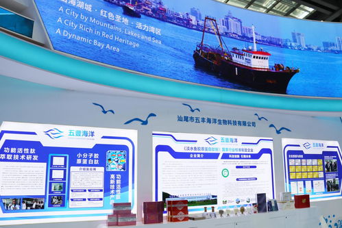 向海圖強(qiáng)，攜手繪就藍(lán)色發(fā)展新畫卷——深圳汕尾合作助推海洋經(jīng)濟(jì)高質(zhì)量發(fā)展