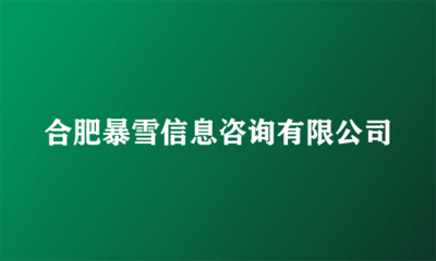 合肥暴雪信息咨詢 金融外包服務的擔當與合規運營之道